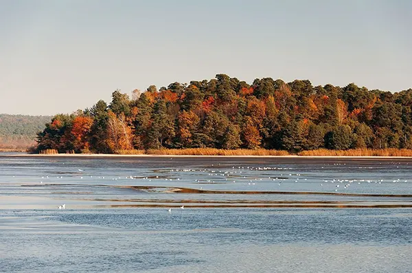 Roztocze park narodowy
