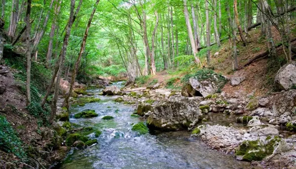 Roztocze park narodowy